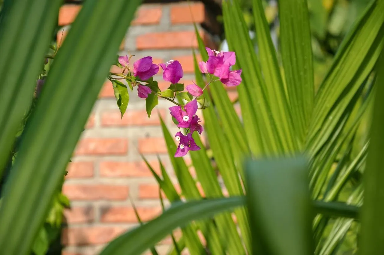 Autumn Bay Retreat Hoi An Hotel